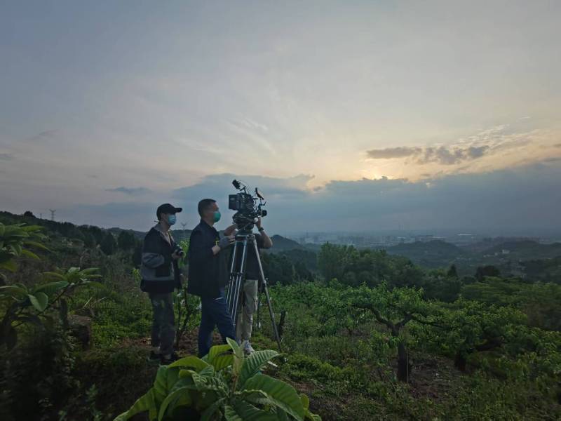 创意破圈！南昌电商产品宣传视频用故事化叙事引爆流量